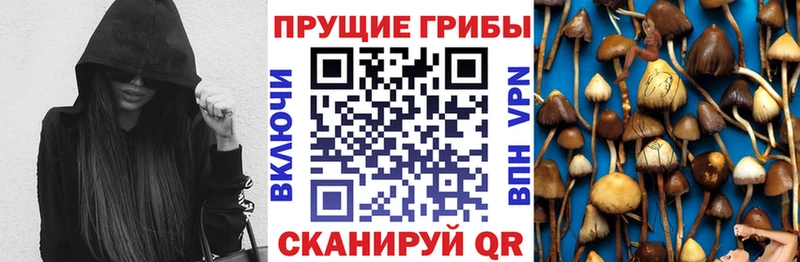 Псилоцибиновые грибы прущие грибы  Задонск 